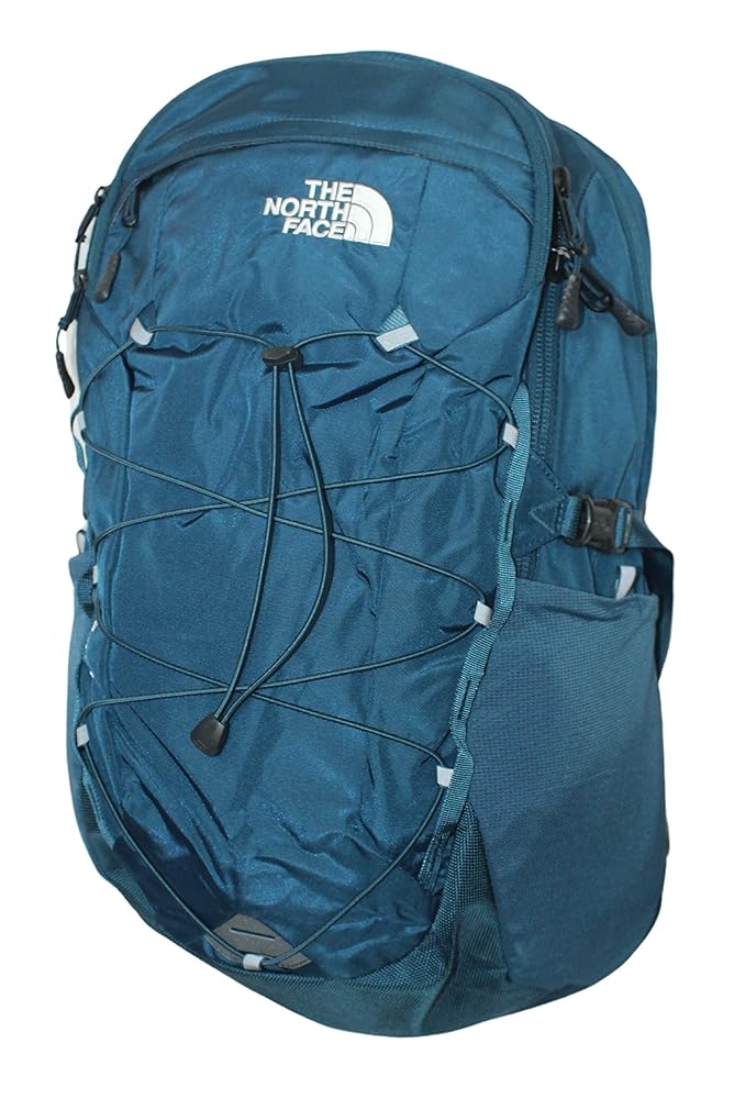 Amazon.com | The North Face Unisex Borealis Backpack